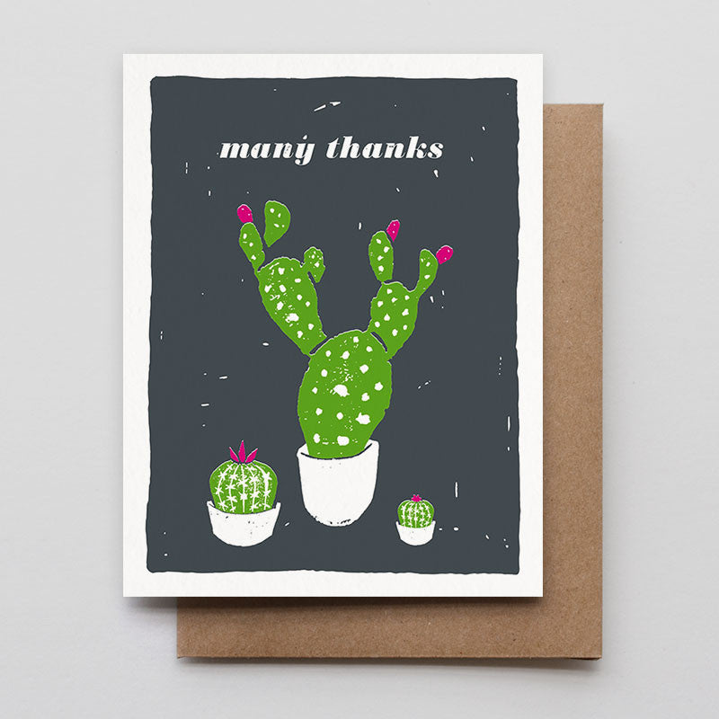 Many Thanks Cacti Boxed Set