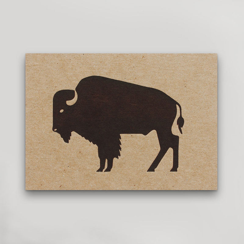 Bison Postcard